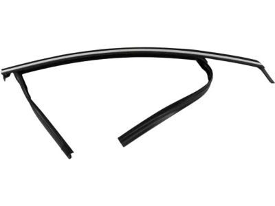 Ford HS7Z-5421596-A Run Channel