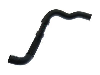 Ford BB5Z-8286-N Lower Hose