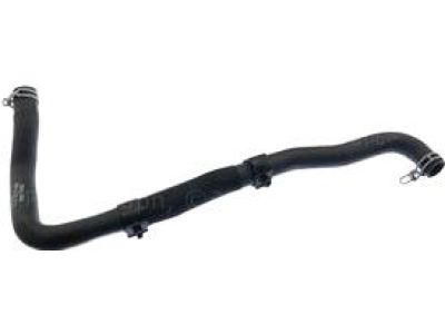 Ford 6L8Z-8260-B Lower Hose