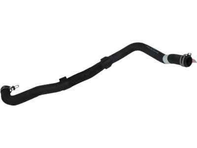 Ford 6L8Z-8260-B Lower Hose
