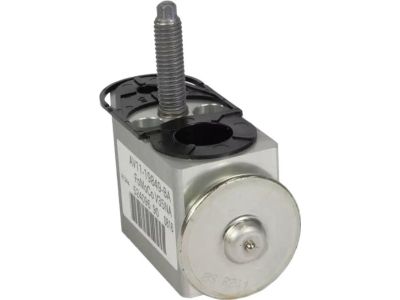 Ford AV1Z-19849-C Expansion Valve