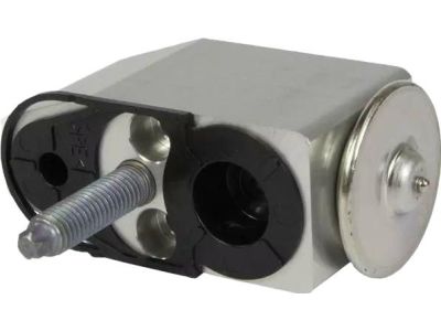 Ford AV1Z-19849-C Expansion Valve