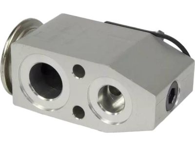 Ford AV1Z-19849-C Expansion Valve
