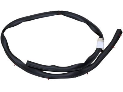 Ford 8L2Z-78253A44-A Lower Seal Strip