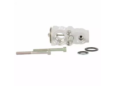 Ford DG9Z-19849-B Expansion Valve