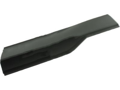 Ford FT4Z-5825556-AB Lower Molding