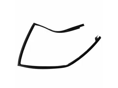 Ford 8L1Z-7825767-AB Run Channel