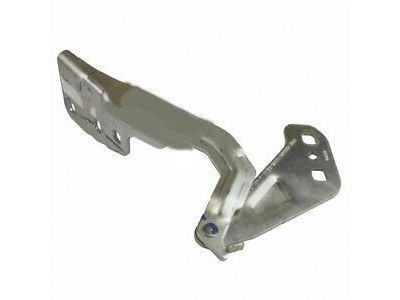 Ford DP5Z-16796-A Hinge