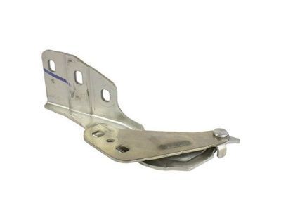 Ford DP5Z-16796-A Hinge