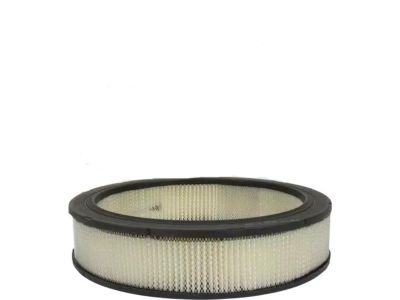 Ford D2AZ-9601-AR Air Filter