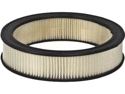Ford D2AZ-9601-AR Air Filter