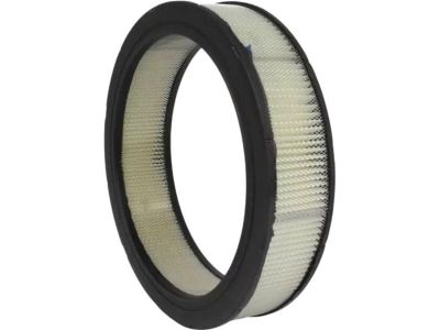 Ford D2AZ-9601-AR Air Filter