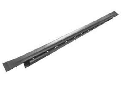 Ford DS7Z-5410176-A Rocker Molding