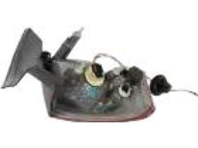 Ford DG1Z-13404-L Back Up Lamp