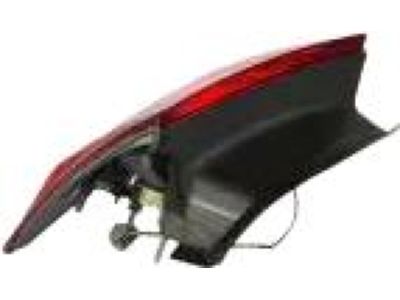 Ford DG1Z-13404-L Back Up Lamp