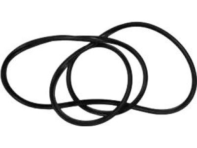 Ford CN1Z-5851884-A Glass Weatherstrip