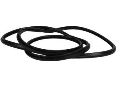 Ford CN1Z-5851884-A Glass Weatherstrip