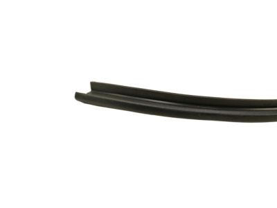 Ford DP5Z-5451884-C Front Weatherstrip