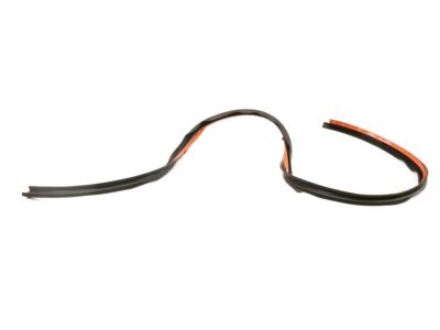 Ford DP5Z-5451884-C Front Weatherstrip