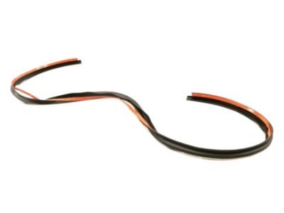 Ford DP5Z-5451884-C Front Weatherstrip