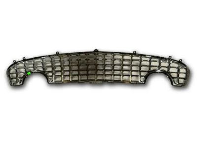Ford 1W6Z-8200-AAA Grille