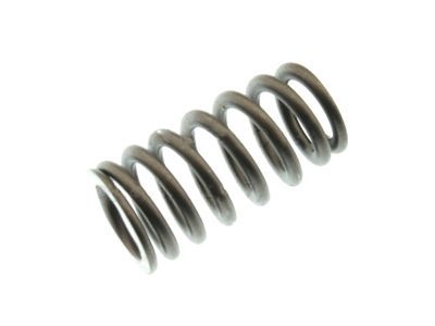 Ford EL3Z-6513-A Valve Springs