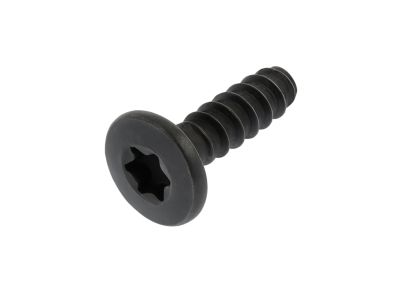 Ford -W790313-S900 Rear Camera Screw