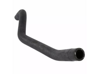 Ford YL8Z-8B081-BA Overflow Hose