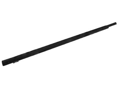 Ford 6L3Z-1625597-A Belt Weatherstrip