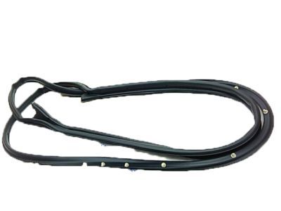 Ford 8G1Z-5420530-A Door Weatherstrip