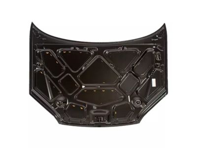 Ford 4S4Z-16612-AB Hood