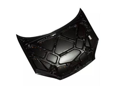 Ford 4S4Z-16612-AB Hood