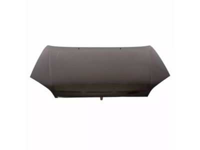 Ford 4S4Z-16612-AB Hood