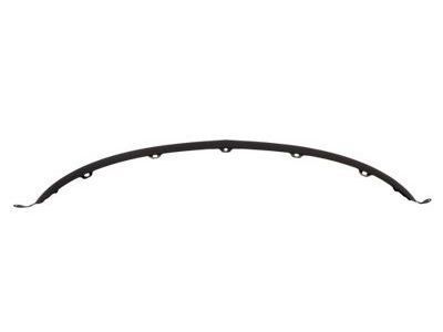 Ford 9A1Z-17626-A Valance