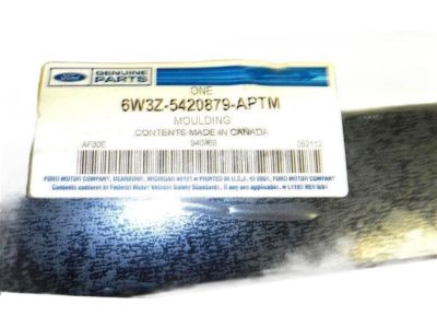 Ford 6W3Z-5420879-APTM Body Side Molding