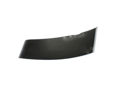 Ford 4L1Z-78280A02-AAA Lower Molding