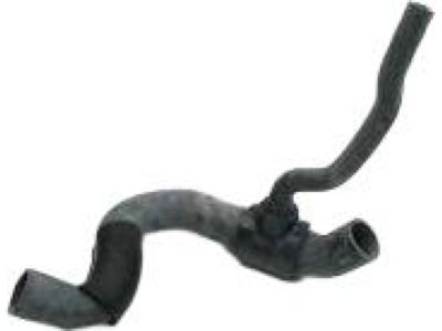 Ford DR3Z-8286-A Lower Hose