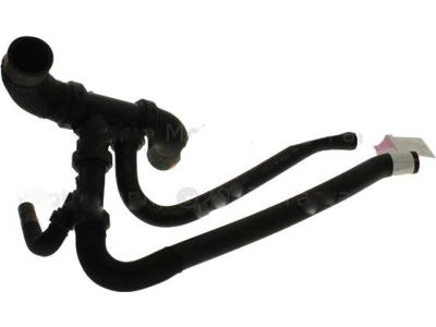 Ford DR3Z-8286-A Lower Hose