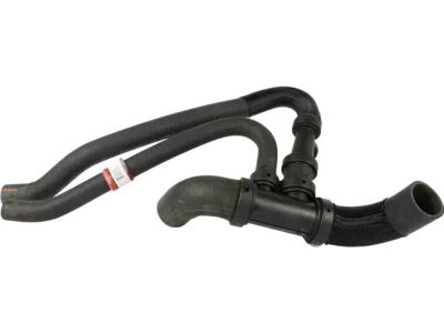 Ford DR3Z-8286-A Lower Hose