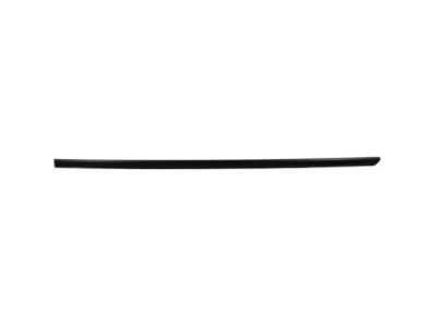 Ford 6E5Z-5425556-APTM Body Side Molding