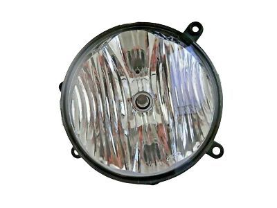 Ford AR3Z-15200-A Fog Lamp Assembly