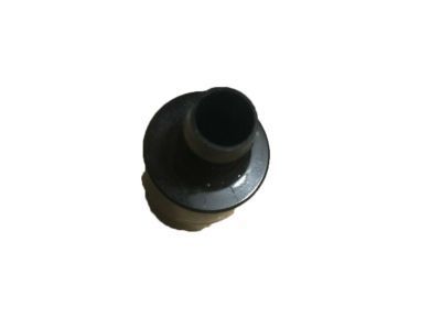 Ford D9ZZ-6A666-A PCV Valve