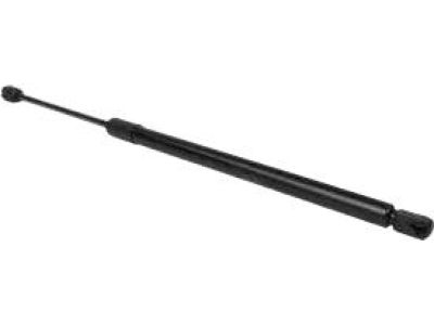 Ford JL1Z-7842105-A Lift Cylinder