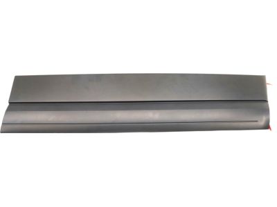 Ford 7L1Z-7820878-APTM Body Side Molding