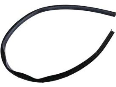 Ford CK4Z-1551400-G Upper Weatherstrip
