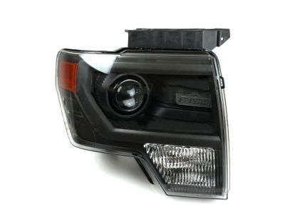 Ford DL3Z-13008-BB Composite Headlamp