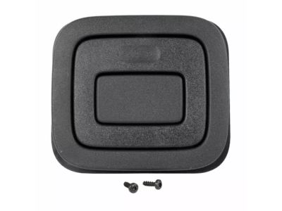 Ford DS7Z-7413046-BA Handle