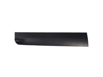 Ford JJ5Z-7820879-AA Side Molding