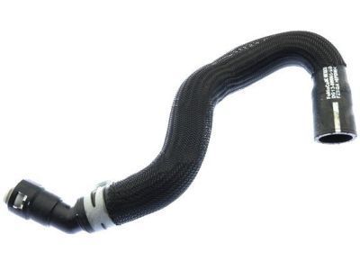 Ford DG1Z-8C289-B Reservoir Hose