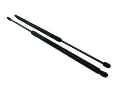Ford AE9Z-74406A11-A Support Strut